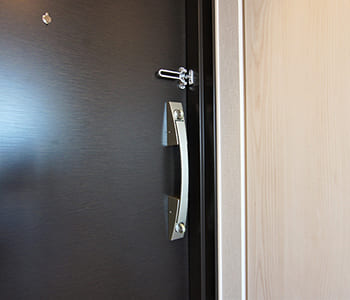 プッシュプルハンドル（玄関扉）<br>玄関ドアは、手がふさがっていても｢押す･引く｣だけのワンアクションで開閉できるプッシュプルハンドルを採用しました。